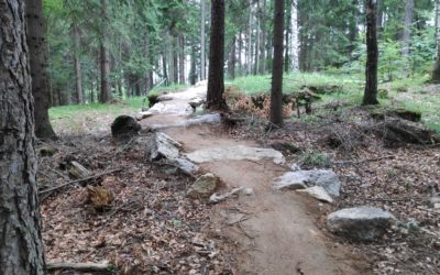 Singletracki w Karkonoszach – wszystko, co warto o nich wiedzieć